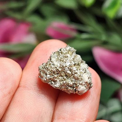 Pyrite Raw