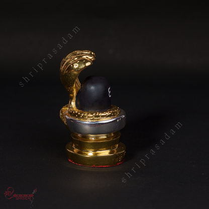 Gold Plated Shivling with Jalahari Yoni | Lord Shiva Lingam Idol |  Ideal for Car Dashboard